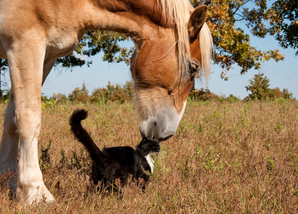 7-healthy-facts-on-friendship-to-bond-over-activebeat