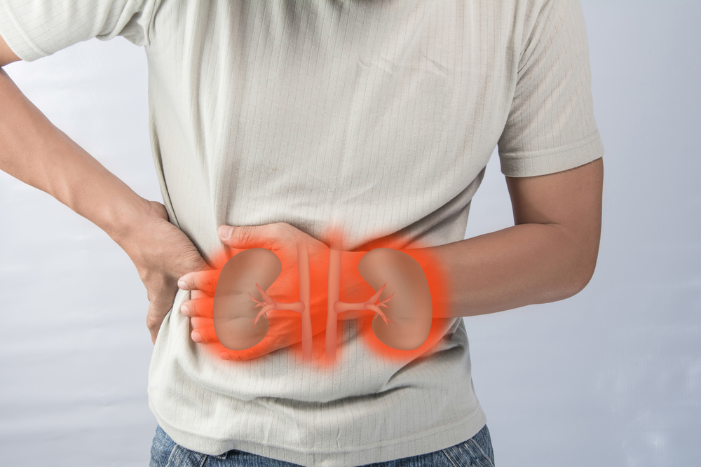 11 Signs and Symptoms of a Kidney Infection – ActiveBeat – Your Daily Dose  of Health Headlines
